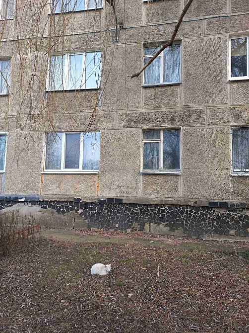 Дешева 3к квартира з великою площею! Полтава - изображение 2