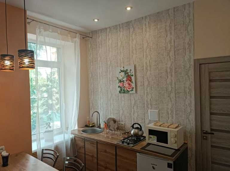 Сдаю 1 комнатную квартиру в центре, м.Научная. Харків - зображення 3