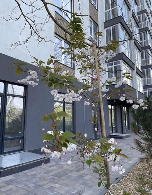 ЖК Акварель 4 1-я кв. ул.Профсаюзная / ул. Радостная. Лучшая цена! Одеса - зображення 1