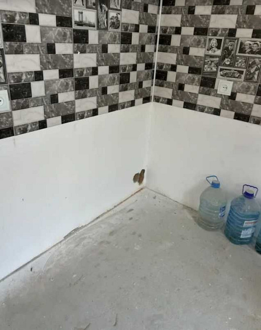 СРОЧНО__2-к кв. с начатым ремонтом в ЖК Чайка.2/10.ГАЗ__ТОРГ Крижанівка - изображение 4