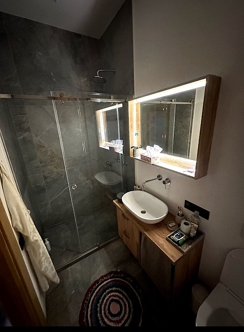 Історичний центр, видова, велика Васильківська 29 , парк Шевченка Київ - зображення 7