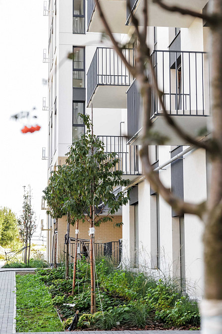 Продаж(Єоселя) 1-кімнатної квартири 37 м2 Пустомити (9км.від Львова) Пустомыты - изображение 1