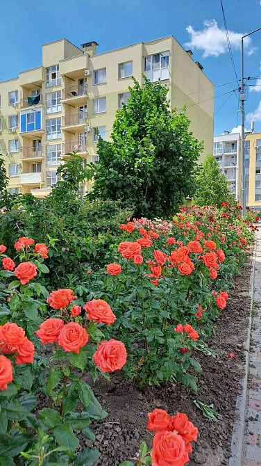 Однокомнатная квартира 21.700 у.е. ЖК 7небо Авангард - изображение 7