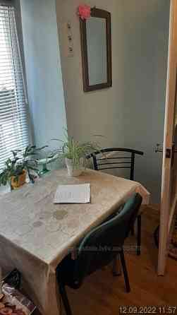 Оренда 1 кім квартири в центрі міста , проспект Шевченка( Макдональдс) Львов