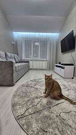 Гаряча ціна! Квартира з ремонтом! ГАЗове опалення, поруч ліс Ірпінь