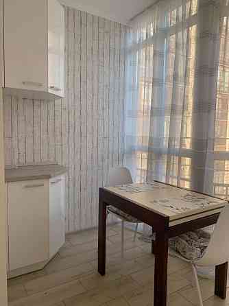 Аренда  1 ком.ул.Антоновича, пр. Поля, Л. Украинки Центр, Днепр