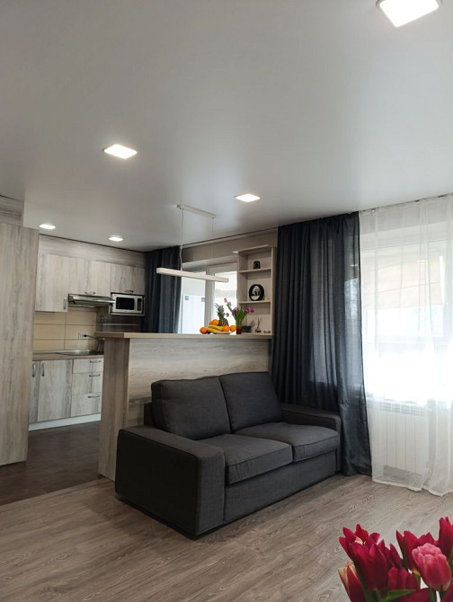 Сдам Реальную  1 комнатную на Пр Кирова- Поля - Центр Днепр - изображение 4