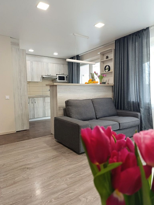 Сдам Реальную  1 комнатную на Пр Кирова- Поля - Центр Днепр - изображение 1