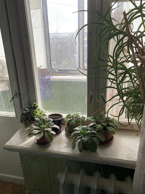 Продається 1-о кімнатна квартира в центрі міста Бровары - изображение 7