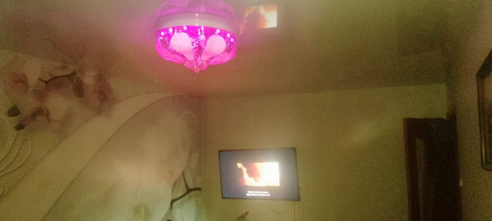 Продам квартиру на Преображенской 6. Богуславка - зображення 5