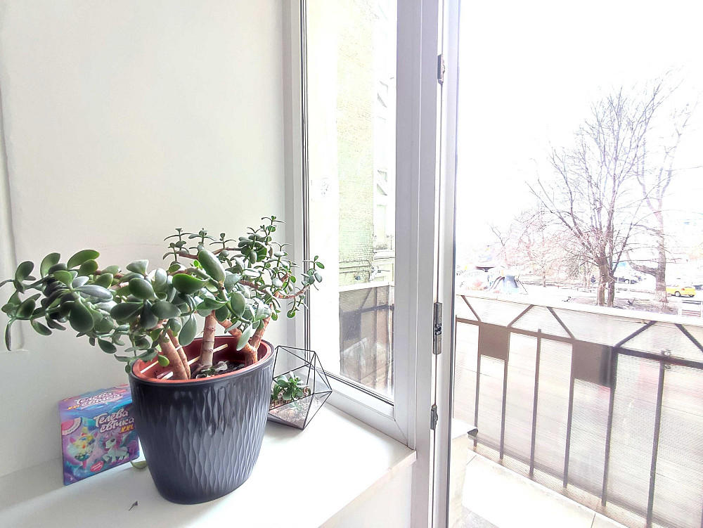 Без% 3к Велика Житомирська 8а вид на Пейзажну Золоті Ворота Рейтарська Київ - зображення 5