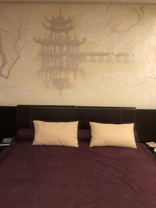 Сдам свою. Сухумская 24. С животными. Метро научная 10 минут пешком. Харків - зображення 7