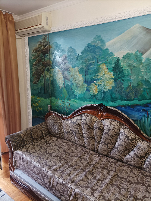 Здається вперше двох кімнатна Росвигово. Мукачево - изображение 8