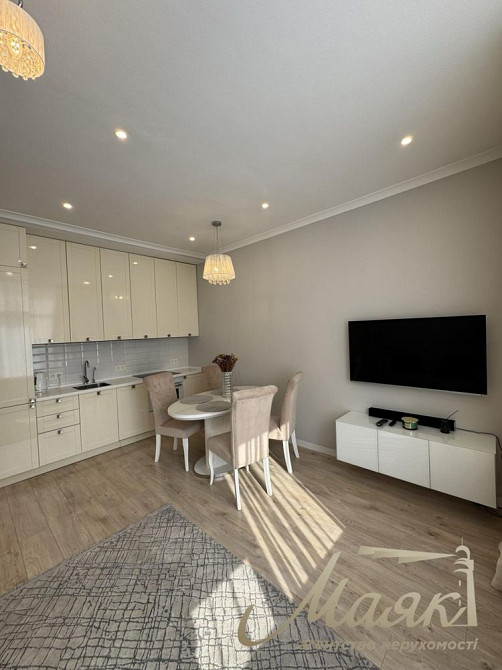 Аренда 2-х квартиры в Новопечерских Липках Киев - изображение 4