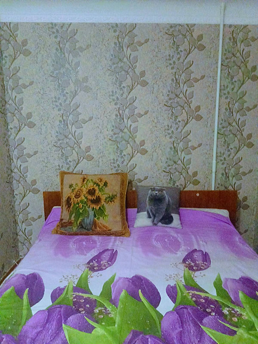 Здам свою двокімнатну квартиру Кам`янець-Подільський - зображення 2