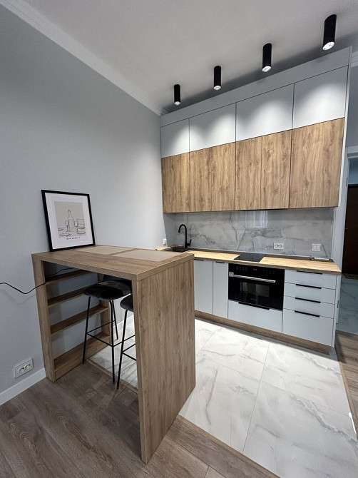 Оренда квартири студії біля Стрийського парку Lviv - photo 4