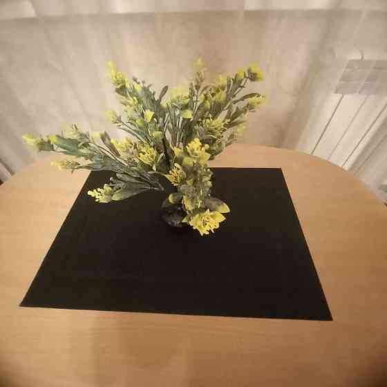 Довгострокова оренда 1-к квартири Голосіївський 11 Киев