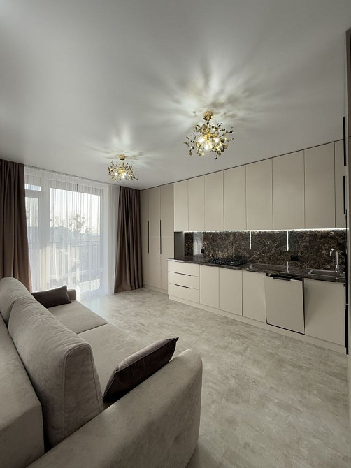 Велика 1-кімнатна Фемілі плаза Івано-Франківськ - зображення 1