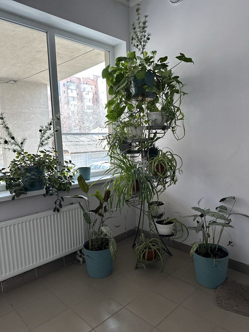 Продаж двокімнатної квартири в центрі міста Черкассы - изображение 3