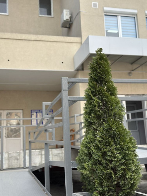 Продаж двокімнатної квартири в центрі міста Черкассы - изображение 2