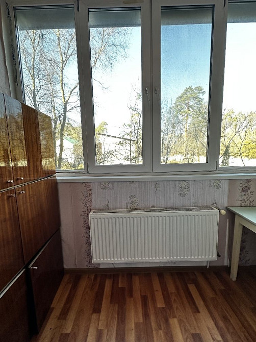 Квартира біля гарного озера. Ворзель - изображение 4