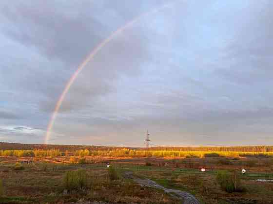 Готова 2к ЕКСКЛЮЗИВНИЙ ВИД на ліс Ірпінь