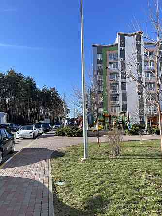 Готова 2к ЕКСКЛЮЗИВНИЙ ВИД на ліс Ірпінь