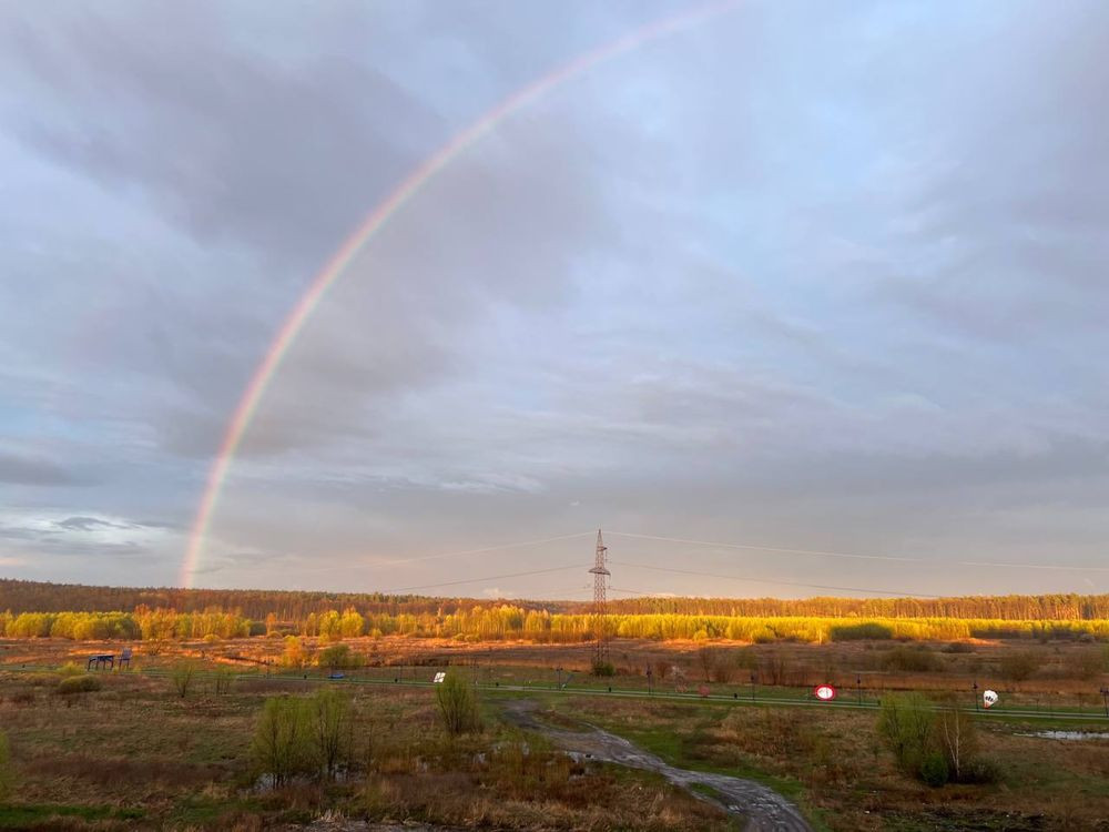 Готова 2к ЕКСКЛЮЗИВНИЙ ВИД на ліс Ірпінь - зображення 3