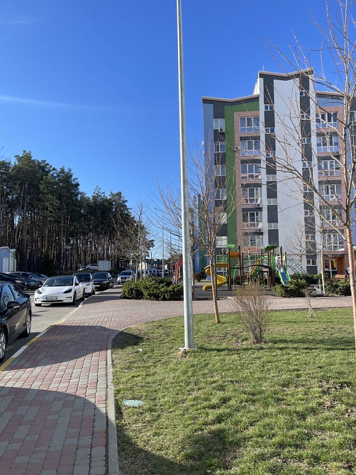 Готова 2к ЕКСКЛЮЗИВНИЙ ВИД на ліс Ірпінь - зображення 5