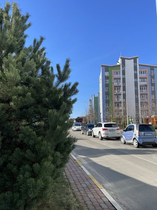 Готова 2к ЕКСКЛЮЗИВНИЙ ВИД на ліс Ірпінь - зображення 4