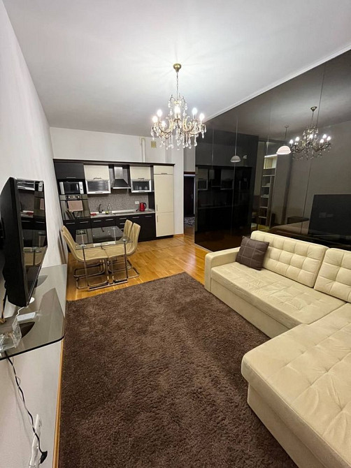 Оренда квартири на Саксаганського 121, Ботанік Тауерс Киев - изображение 4