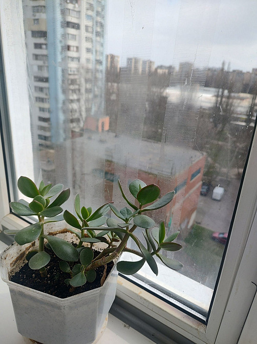 Бочарова, Северный рынок, газифицированный дом Одеса - зображення 6