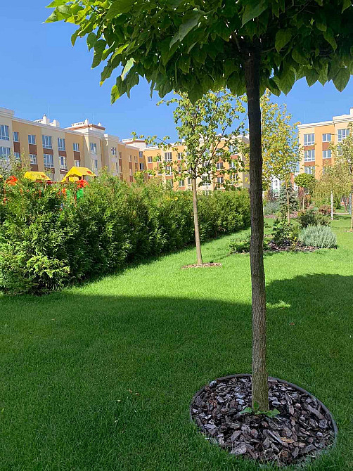 Продам ВЕЛИКА 3К 82м Заселений будинок ЖК Львівський Затишок Софиевская Борщаговка - изображение 4