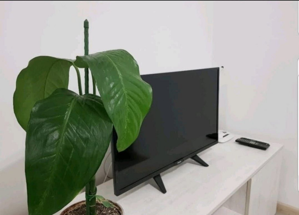 От месяца.Новострой. 1 к кв. Левый берег Днепра. Риелторы не звоните. Днепр - изображение 2