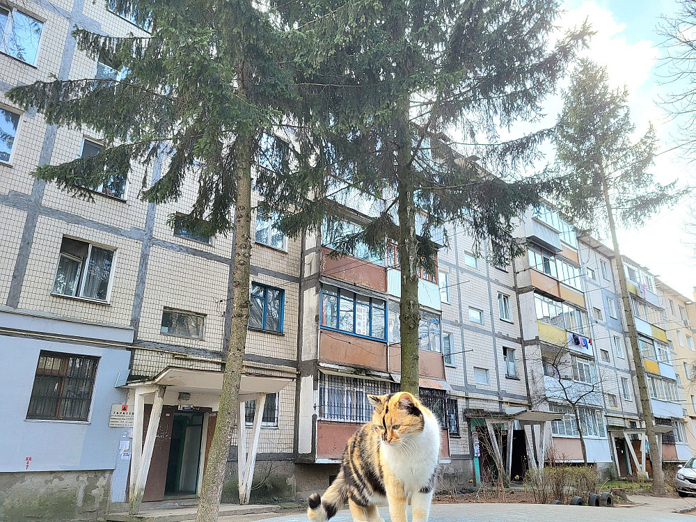 Продажа Квартири р-н Вишенька Вінниця - зображення 1