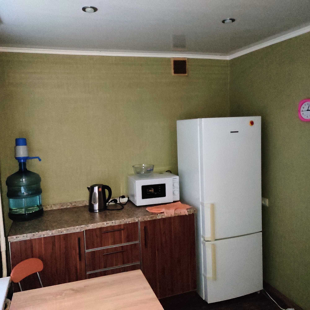 Долгосрочная аренда 1к квартира Вознесеновский район улица Дунайская Запорожье - изображение 4