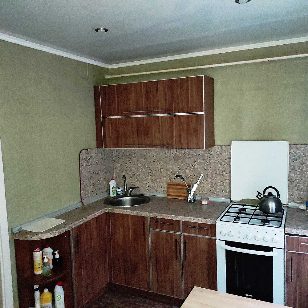 Долгосрочная аренда 1к квартира Вознесеновский район улица Дунайская Запорожье - изображение 1