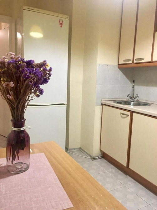 Оренда 1 к квартира метро Печерська, бульвар Лесі Українки Киев - изображение 3