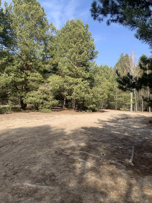 Однокімнатне житло в Дарницькому районі Київ - зображення 7