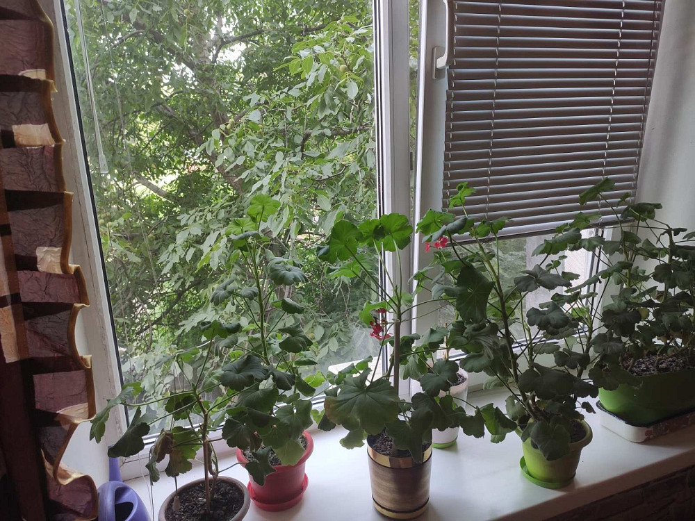 Сдам двухкімнатну квартиру на правом березі Днепр - изображение 2