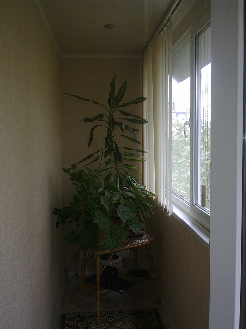 В продаже 2-комн кв на пр. Слобожанский (конец) Дніпро - зображення 5