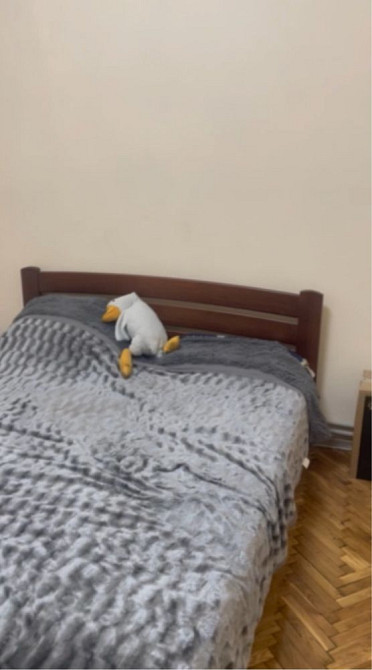 Оренда квартири в новобудові, Стрий, центр Стрий - зображення 1