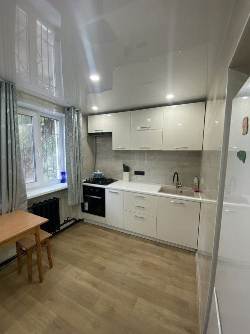 Сдам однокомнатную квартиру (хозяин) Каменское (Запорожская обл.) - изображение 4