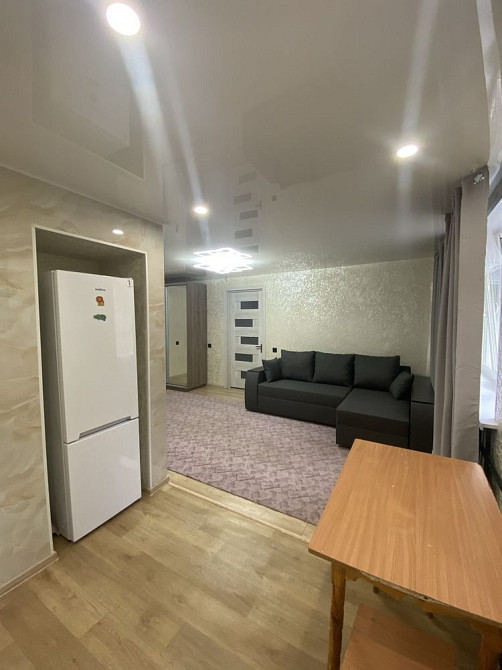 Сдам однокомнатную квартиру (хозяин) Каменское (Запорожская обл.) - изображение 5