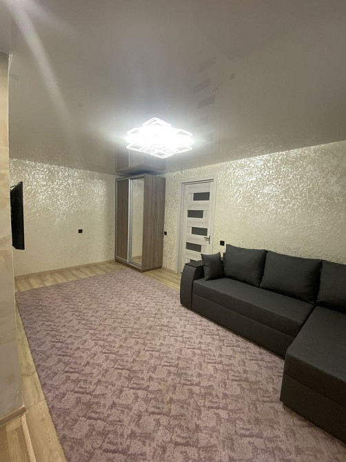 Сдам однокомнатную квартиру (хозяин) Каменское (Запорожская обл.) - изображение 2