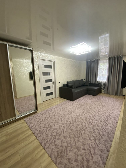 Сдам однокомнатную квартиру (хозяин) Каменское (Запорожская обл.) - изображение 1