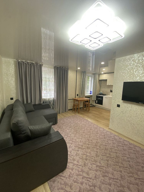 Сдам однокомнатную квартиру (хозяин) Каменское (Запорожская обл.) - изображение 3