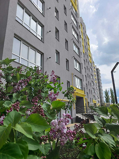 Перша здача 1к. квартири. Винница - изображение 1