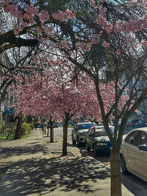 Продам 1 к квартиру на Алеї сакур Вишенька Вінниця - зображення 3