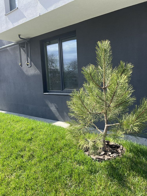 Продаж квартири silent park! Від власника! Львів - зображення 1